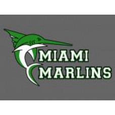 Miami School "Marlins" Temporary Tattoo