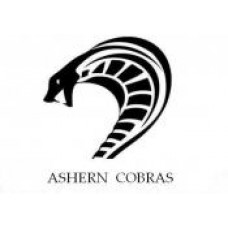 Ashern Central School "Ashern Cobras" Temporary Tattoo