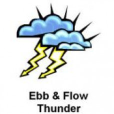 Ebb & Flow School "Thunderbirds" Temporary Tattoo