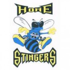 Wanipigow School "Stingers" Temporary Tattoo