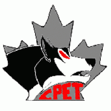 College Pierre-Elliot-Trudeau "Canadiens" Temporary Tattoo