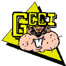 Garden City Collegiate "Fighting Gophers" Temporary Tattoo
