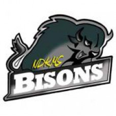 Neil Dennis Kematch Memorial School "Bisons" Temporary Tattoo