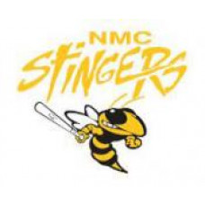 Nellie McClung Collegiate "Stingers" Temporary Tattoo