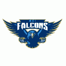 Birtle Collegiate "BCI Falcons" Temporary Tattoo