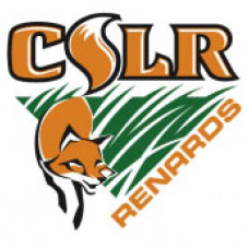 Centre Scolaire Léo-Rémillard  "CSLR Renards" Temporary Tattoo