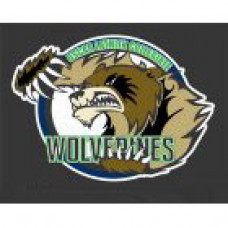 Oscar Lathin Collegiate "Wolverines" Temporary Tattoo