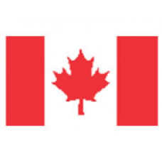 Canada Flag Temporary Tattoo