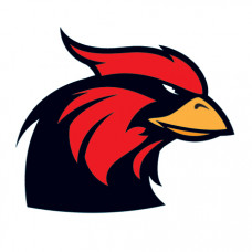 Large Cardinal Mascot Temporary Tattoo