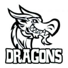 Dragons Mascot Temporary Tattoo
