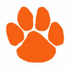 Orange Paw Print Temporary Tattoo